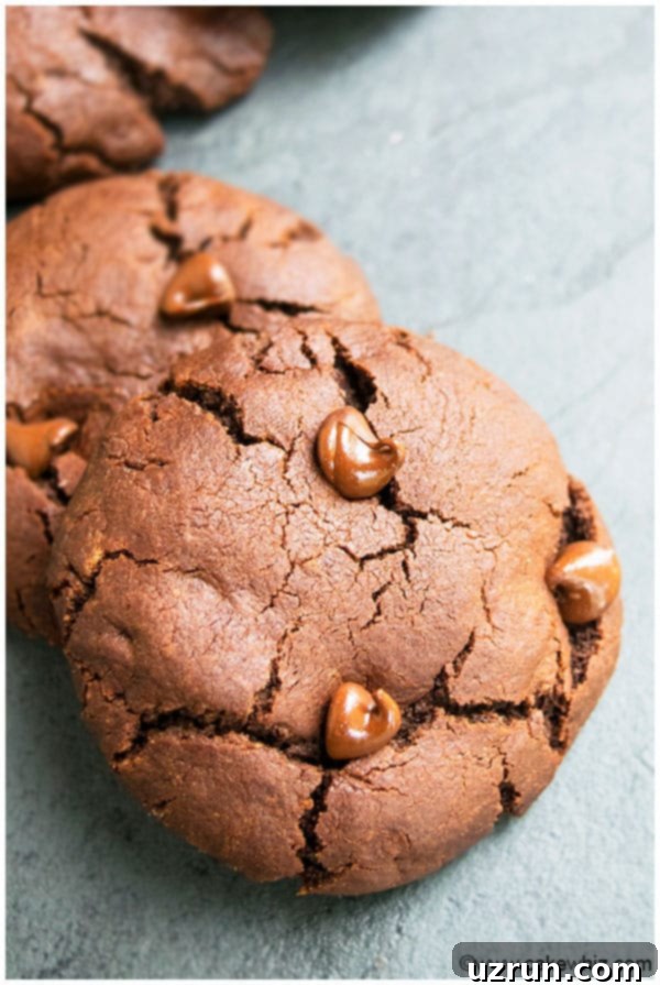 Decadent Fudgy Chewy Triple Chocolate Cookies 4 Easy Homemade Chocolate Fudge Cookies on Gray Background