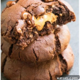 Decadent Fudgy Chewy Triple Chocolate Cookies 5 Stack of Three Triple Chocolate Cookies on Gray Background