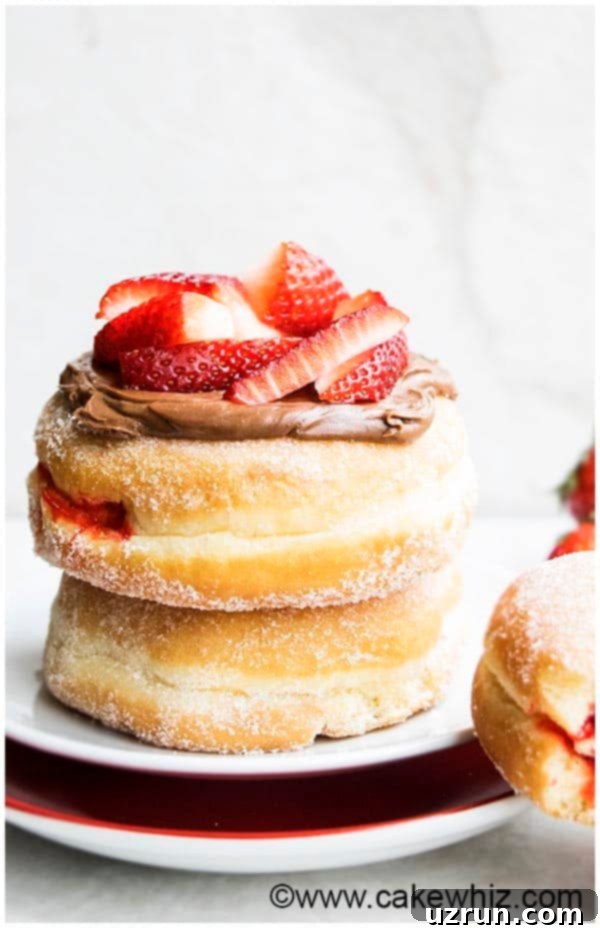 Hanukkah Jelly Donuts 4 Delicious Jam Doughnuts with rich Chocolate Frosting and fresh Strawberry Topping