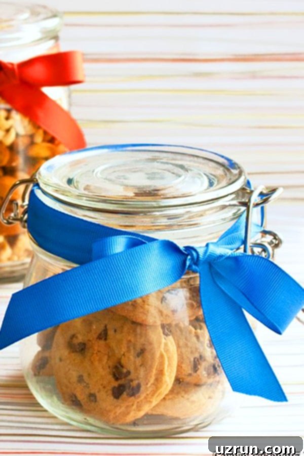 Simple Food and Cookie Packaging Ideas 5 Sealed Jar or Mason Jar With Cookies and Wrapped in Ribbon