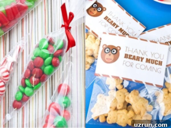 Simple Food and Cookie Packaging Ideas 9 Treat Bags and Cellophane Bags