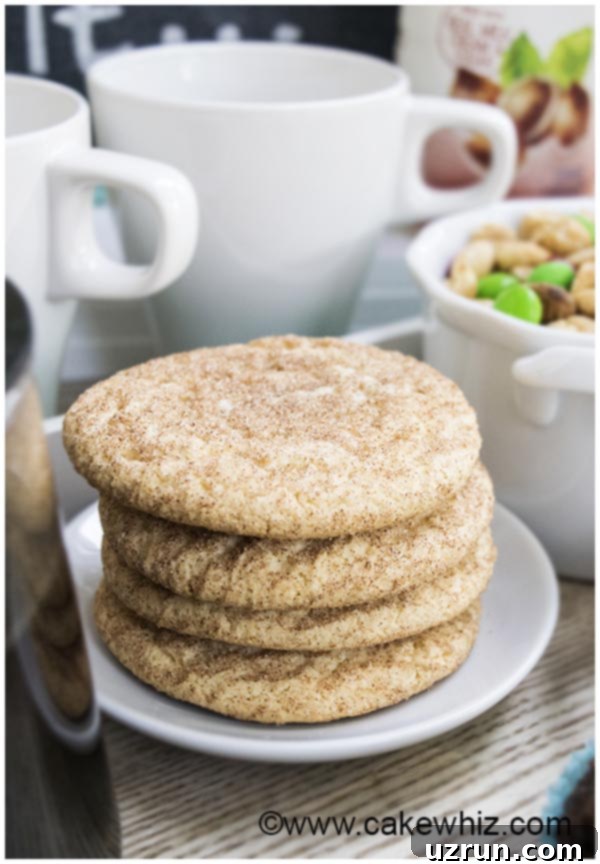 Your Ultimate Home Coffee Oasis 5 Snickerdoodle cookies arranged on a plate on a home coffee bar.