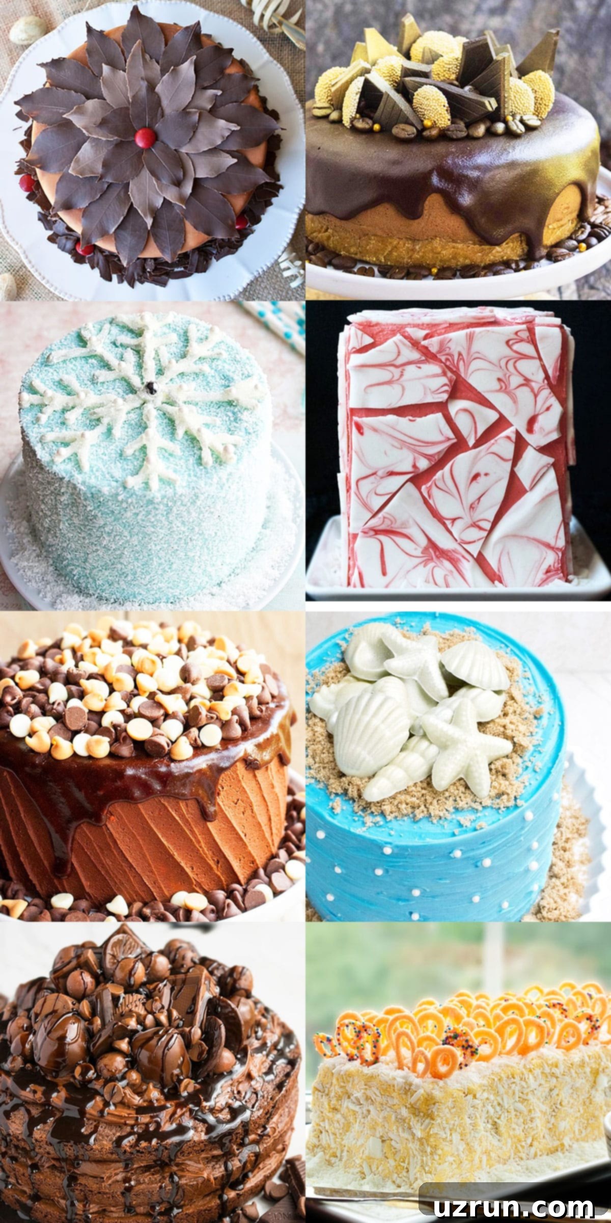 Easy Cake Decorating Ideas for Beginners 14 A decadent cake richly decorated with various forms of chocolate, including chips, curls, and truffles.