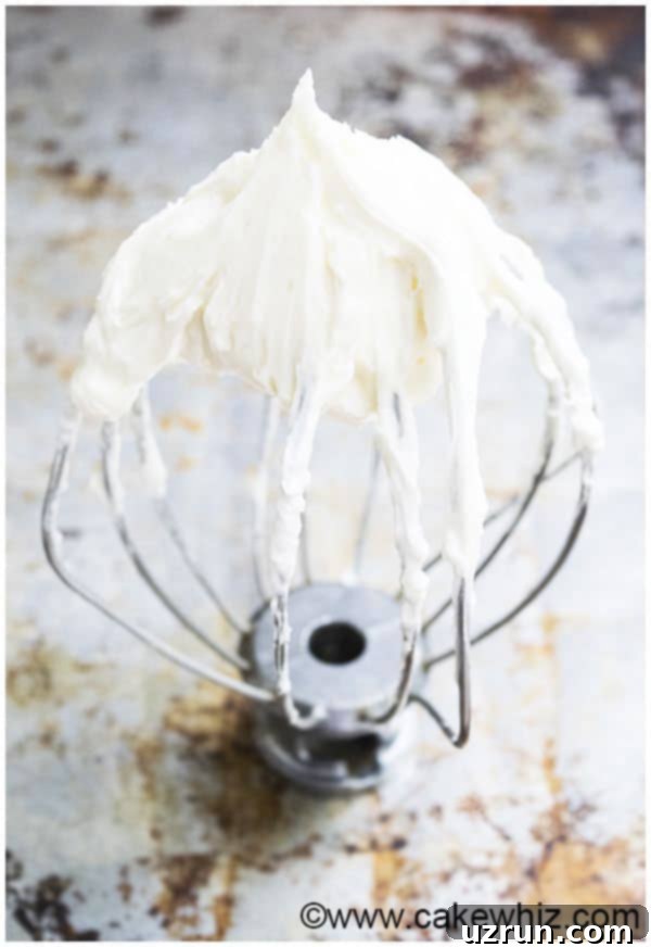 The Best Stable Cream Cheese Frosting 5 Best Cream Cheese Frosting on Whisk on Rustic Metallic Background