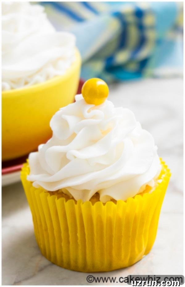 Easy American Buttercream Frosting Recipe Tips for Bakers