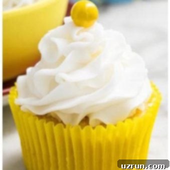 Fluffy American Buttercream Frosting 6 Classic Homemade American Buttercream Frosting Recipe
