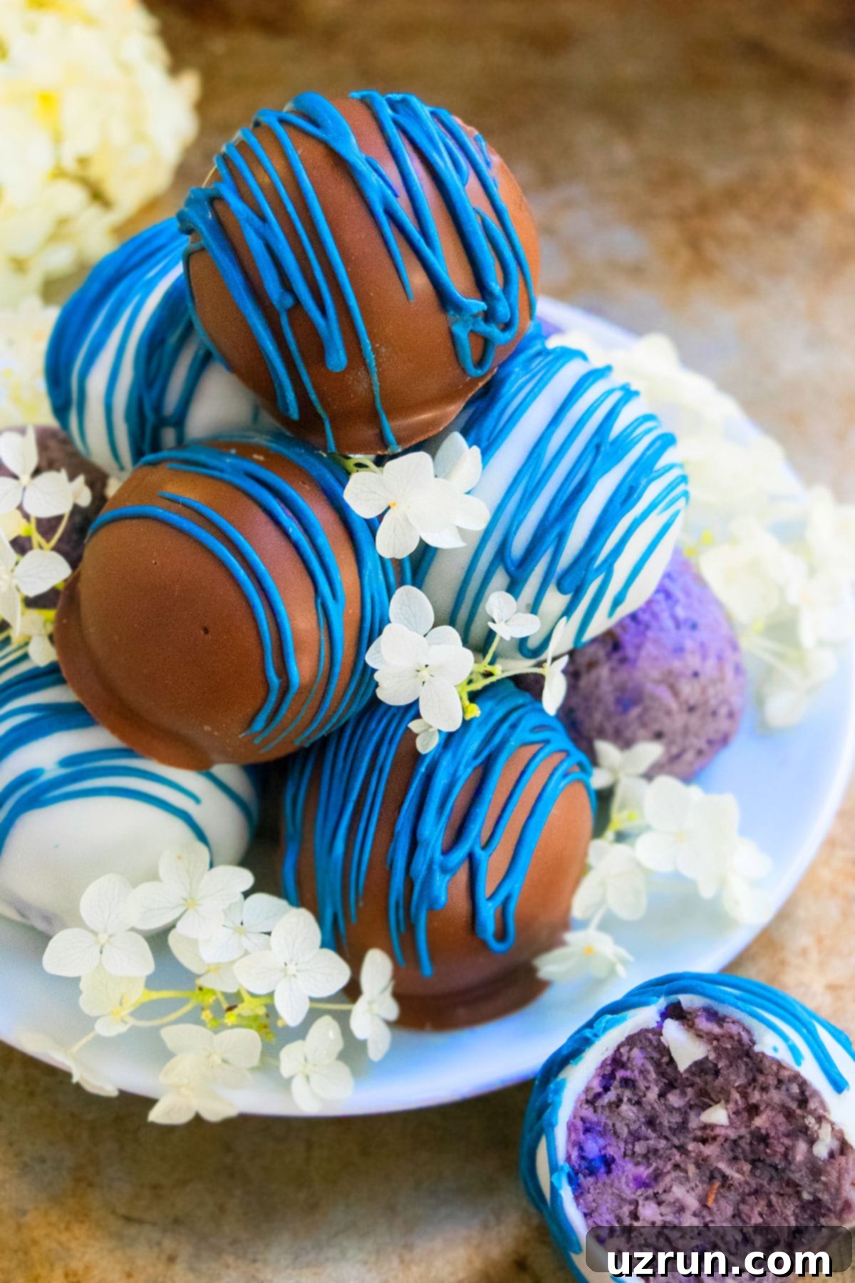 Stack of Easy Chocolate Blueberry Truffles on White Dish. 