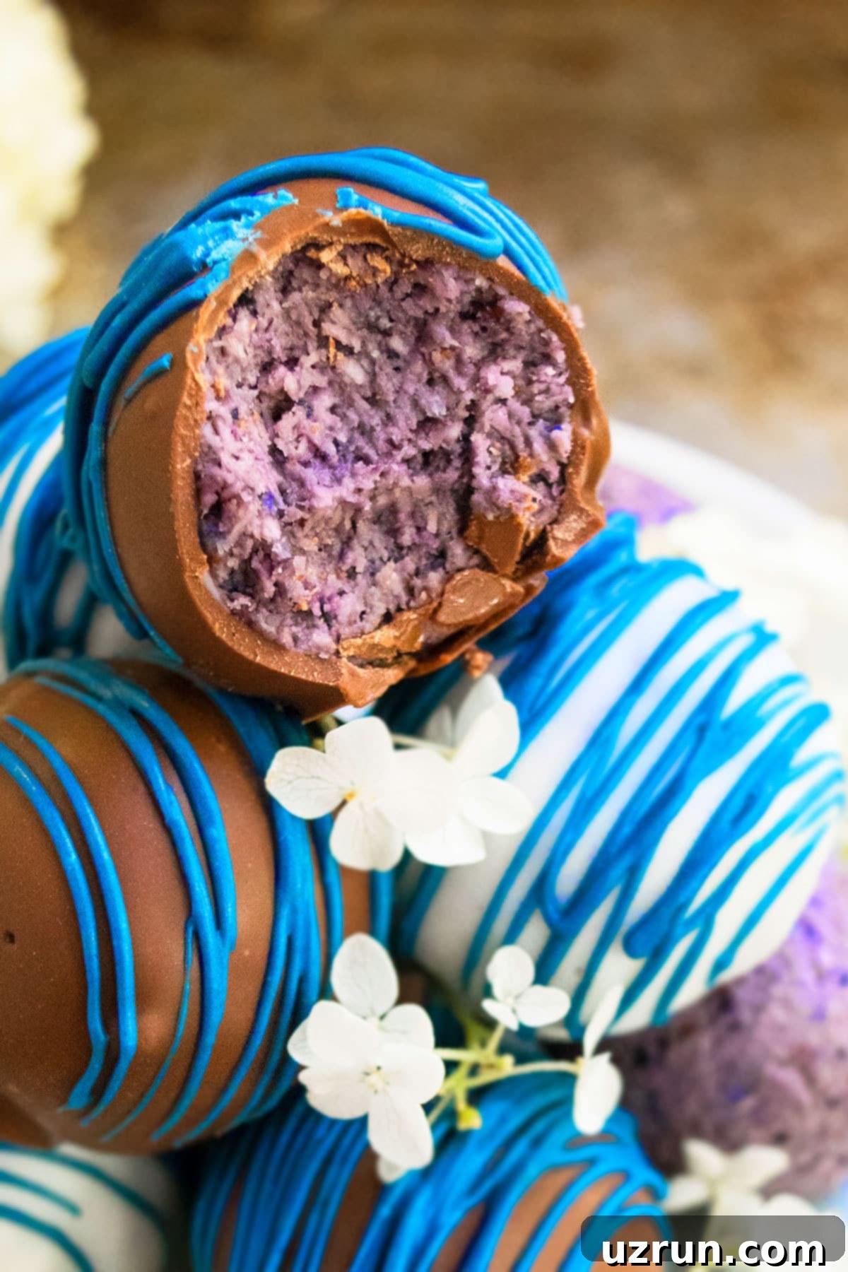 Effortless Chocolate Blueberry Truffles 4 Closeup Shot of Partially Eaten Truffle.