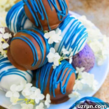 Effortless Chocolate Blueberry Truffles 6 Stack of Easy Chocolate Blueberry Truffles on White Dish.