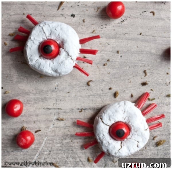 Spooky Spider and Monster Halloween Donuts 5 Quick and Easy Spider Donuts for Halloween on Rustic Gray Background