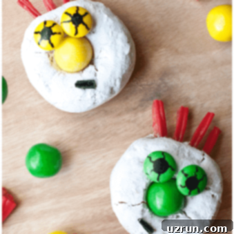 Spooky Spider and Monster Halloween Donuts 6 Easy Halloween Donuts on Wood Background (Spider and Monster)- Overhead Shot