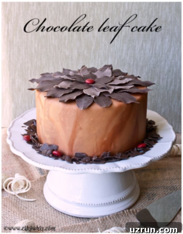 Mint Chocolate Leaves Recipe 3 Easy Chocolate Leaf Cake on White Cake Stand