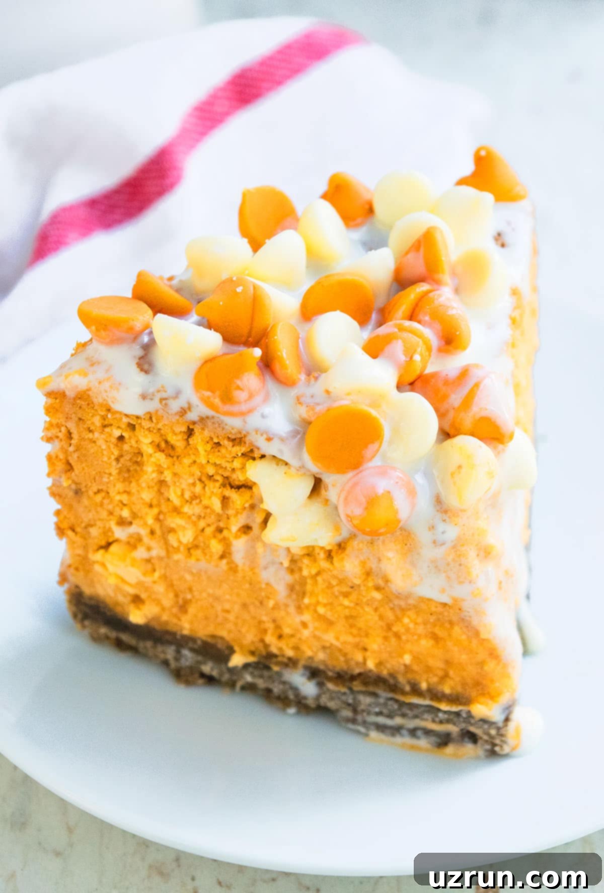 Slice of Spiced Pumpkin Pie Cheesecake on Small White Dish- Baked Version.