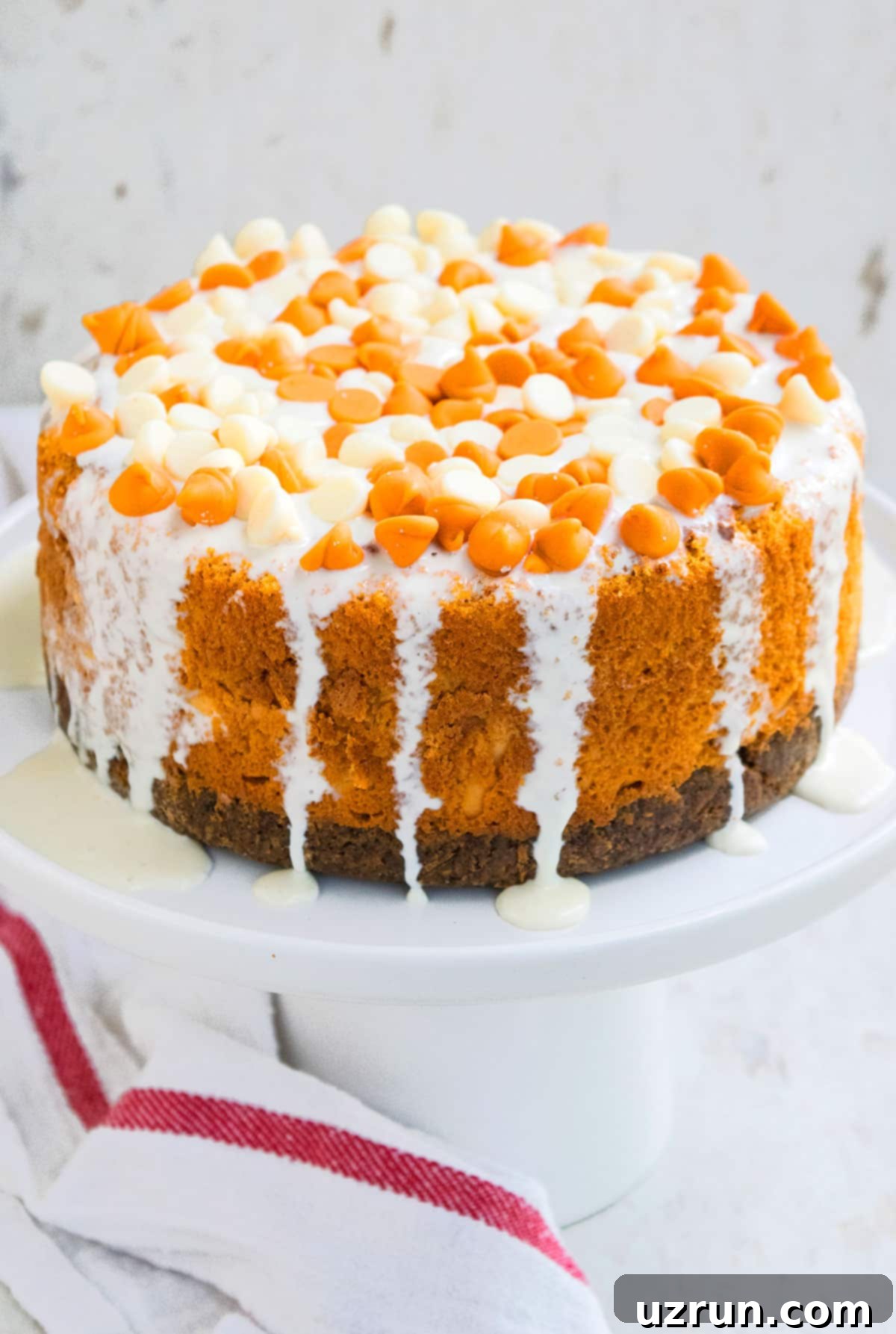 Pumpkin Cheesecake With Gingersnap Crust 4 Easy Pumpkin Cheesecake With Gingersnap Crust and White Chocolate Ganache on White Cake Stand.