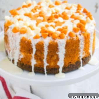 Pumpkin Cheesecake With Gingersnap Crust 6 Easy Pumpkin Cheesecake With Gingersnap Crust and White Chocolate Ganache on White Cake Stand.