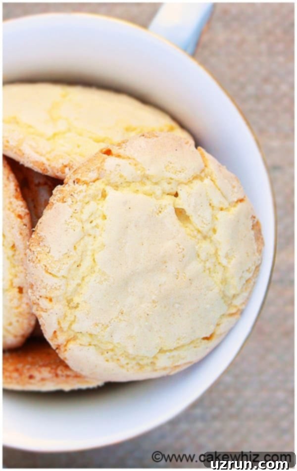 Crackly Sugar Cookies Recipe 1