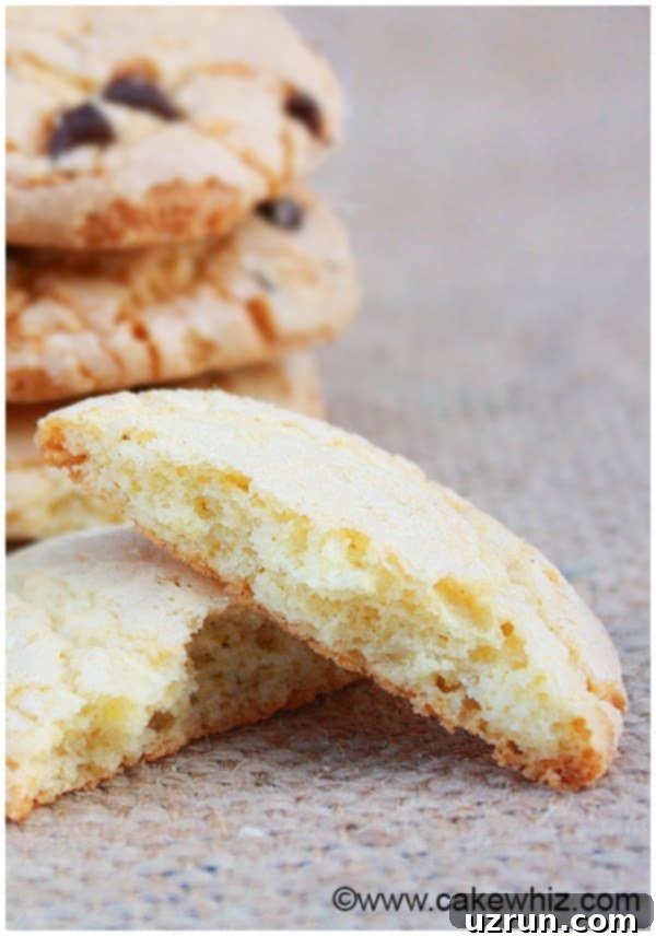 Crinkle Sugar Cookies 3 Crackly Sugar Cookies Recipe 3