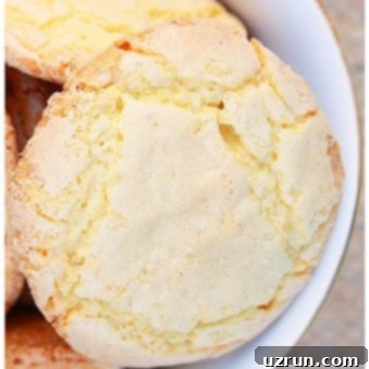 Crinkle Sugar Cookies 5 Easy Crackle Cookies (Crinkle Sugar Cookies) in White Bowl.