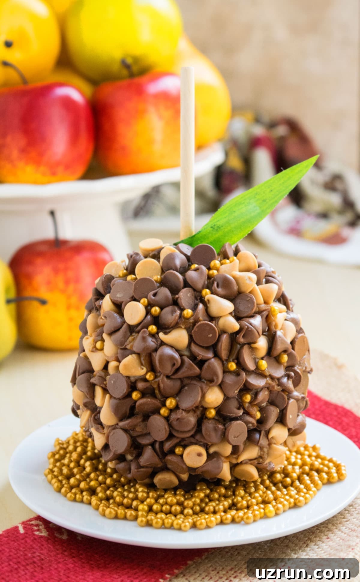 Gourmet Dipped Caramel Apples on White Dish, topped with chocolate and edible pearls, perfect for Fall.