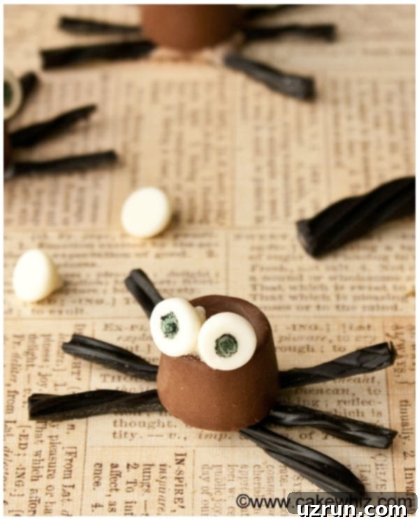 Edible Easy Chocolate Spiders For Halloween on Rustic Paper Background