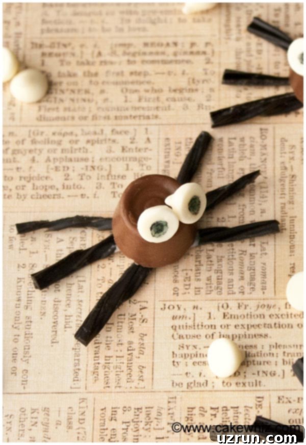 Easy Moldless Chocolate Spiders 3 Overhead Shot of No Bake Kids Halloween Dessert on Rustic Background