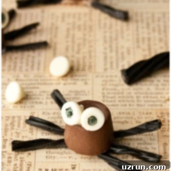 Easy Moldless Chocolate Spiders 5 Easy Edible Chocolate Spiders For Halloween on Rustic Brown Background