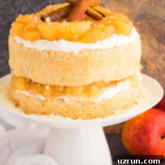 Apple Pie Cake With Pie Filling 5 Easy Apple Pie Cake With Pie Filling and Buttercream Frosting on White Cake Stand