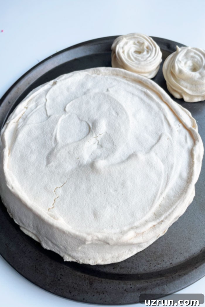 Whip Up a Dreamy Pavlova 6 Undecorated Pavlova on Round Steel Tray