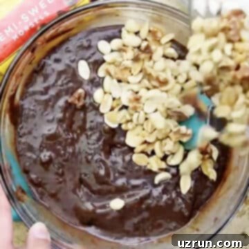 No-Bake Rocky Road Fudge 6 img 9755 5