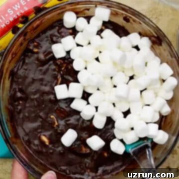 No-Bake Rocky Road Fudge 7 img 9755 6