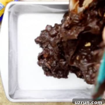 No-Bake Rocky Road Fudge 9 img 9755 8