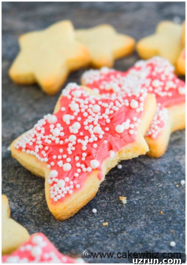 Champagne Frosted Cookies 4 Partially Eaten Cut Out Star Cookie on Gray Background