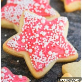 Champagne Frosted Cookies 5 Easy Pink Champagne Cookies With Champagne Buttercream Frosting on Rustic Gray Background