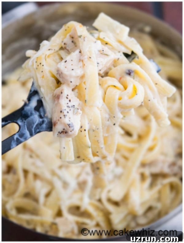 Close up of creamy Healthy Fettuccine Alfredo