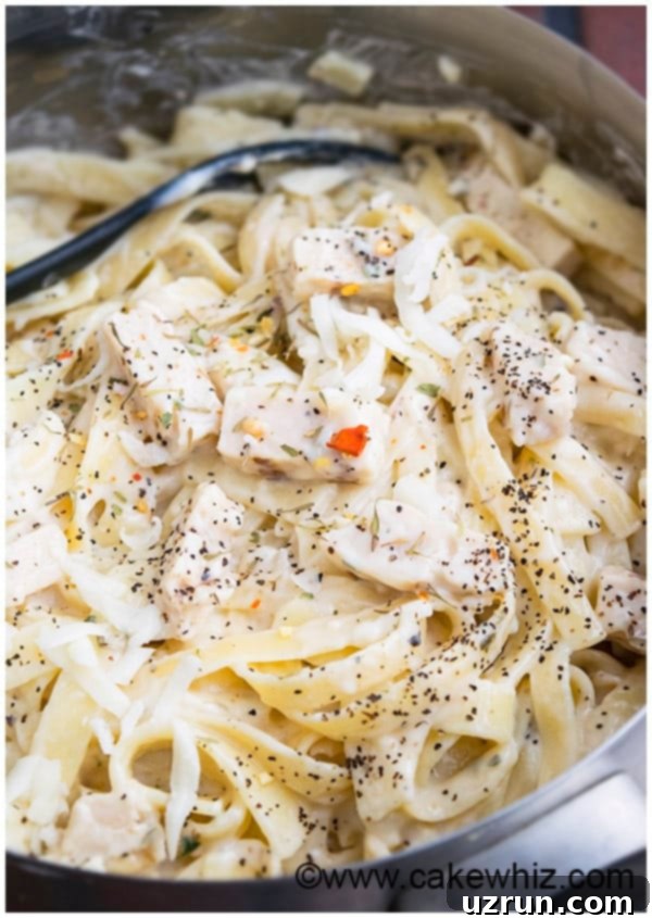 Serving of One Pot Healthy Fettuccine Alfredo