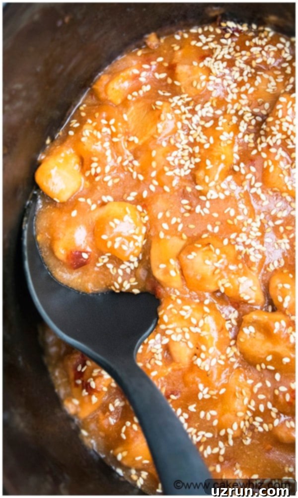 Slow Cooker Sesame Chicken Recipe 02