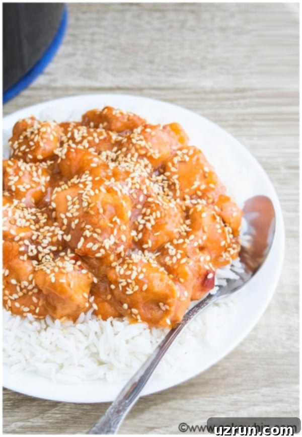 Slow Cooker Sesame Chicken Recipe 20