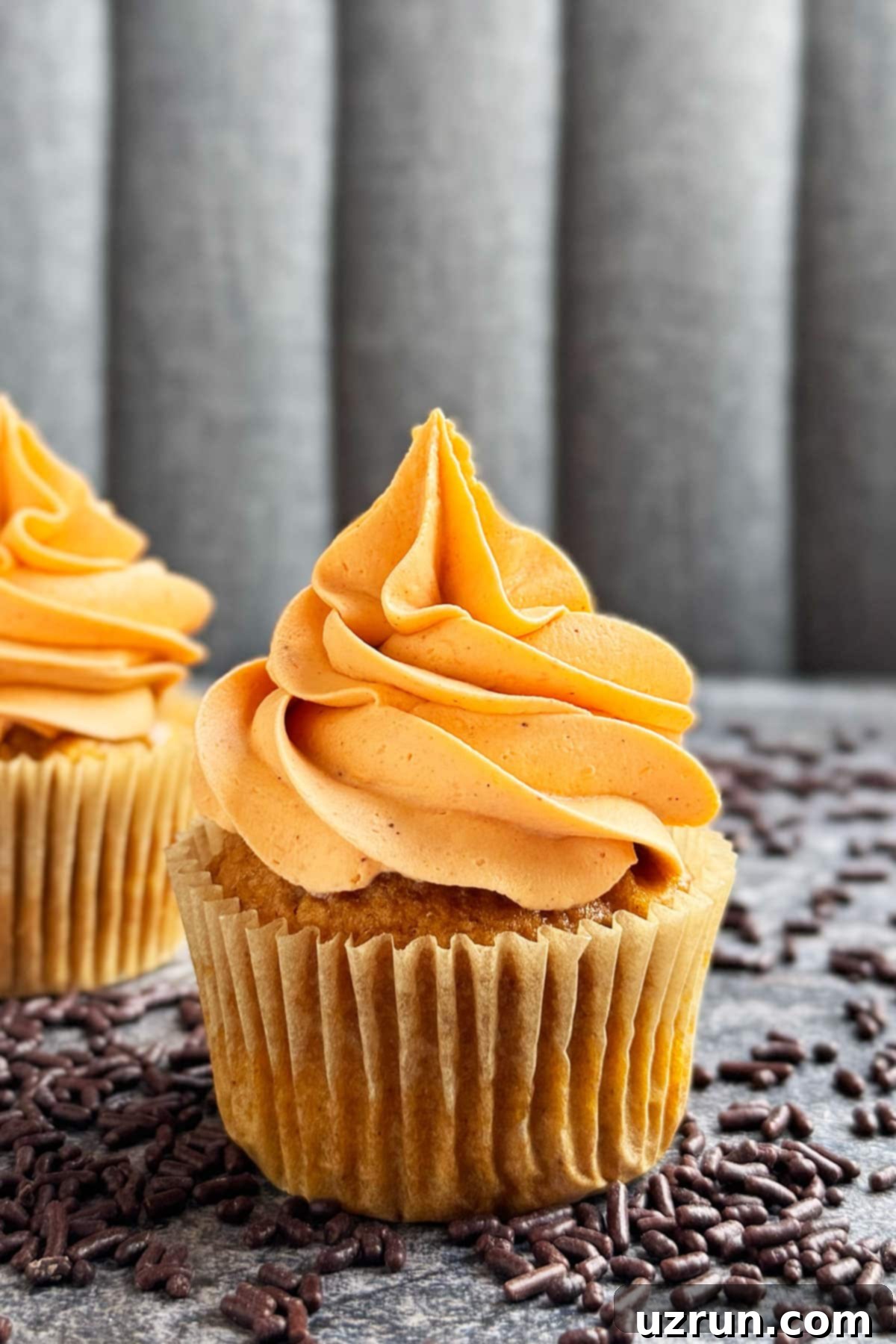 Cozy Pumpkin Cupcakes with Spiced Cream Cheese Frosting 2 Best Pumpkin Cupcakes From Scratch With Spiced Cream Cheese Frosting on Rustic Gray Background With Chocolate Sprinkles Scattered Everywhere.