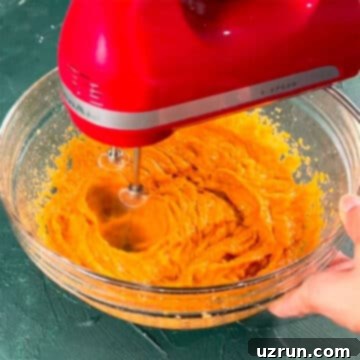 Cozy Pumpkin Cupcakes with Spiced Cream Cheese Frosting 6 img 67778 5