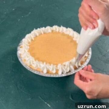 Velvet Pumpkin No-Bake Cheesecake 11 Cool Whip being piped around the outer edges of the pie.