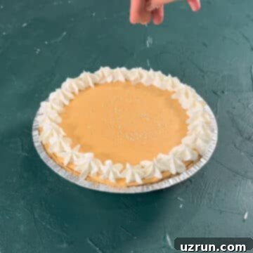 Velvet Pumpkin No-Bake Cheesecake 12 Sprinkles being tossed on top of pie.