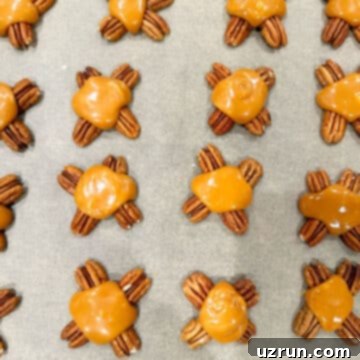 Decadent Homemade Chocolate Caramel Pecan Turtles 6 Pecan clusters topped with melted caramel.