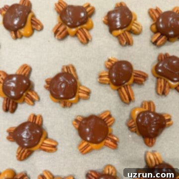 Decadent Homemade Chocolate Caramel Pecan Turtles 7 Nut clusters topped with melted chocolate.