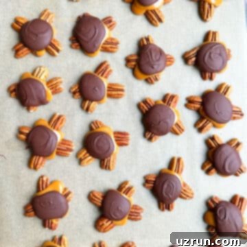 Decadent Homemade Chocolate Caramel Pecan Turtles 8 Pecan clusters with chocolate and caramel that has set.