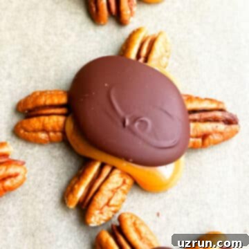 Decadent Homemade Chocolate Caramel Pecan Turtles 10 Easy Homemade Chocolate Turtles With Caramel and Pecans on Brown Wax Paper- Closeup Shot.