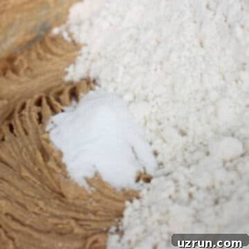 Effortless Soft Chewy Maple Cookies 6 Flour and baking soda added to wet ingredients in large bowl.