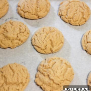 Effortless Soft Chewy Maple Cookies 8 Baked cookies in lined tray removed from oven and cooling.