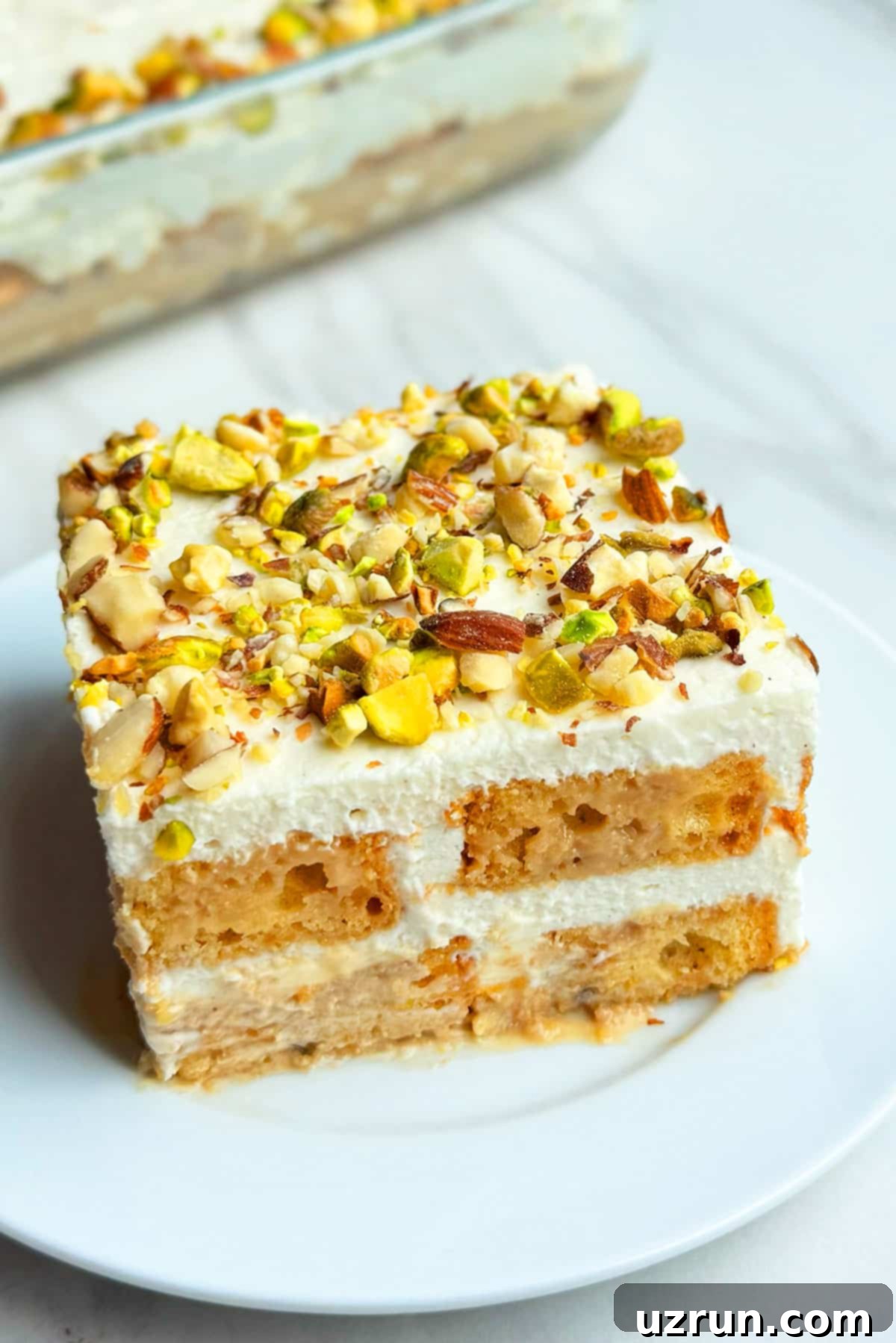 No-Bake Spiced Chai Tiramisu Cake 2 Slice of Easy No Bake Masala Spiced Chai Tiramisu Cake on White Dish.