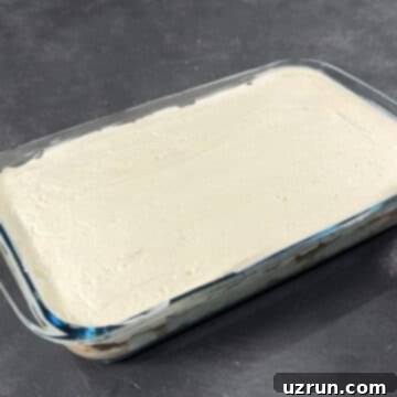 No-Bake Spiced Chai Tiramisu Cake 11 Mascarpone filling evenly spread out- Closeup Shot.