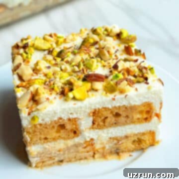 No-Bake Spiced Chai Tiramisu Cake 14 Slice of Easy No Bake Masala Spiced Chai Tiramisu Cake With Cake Rusks on White Dish.